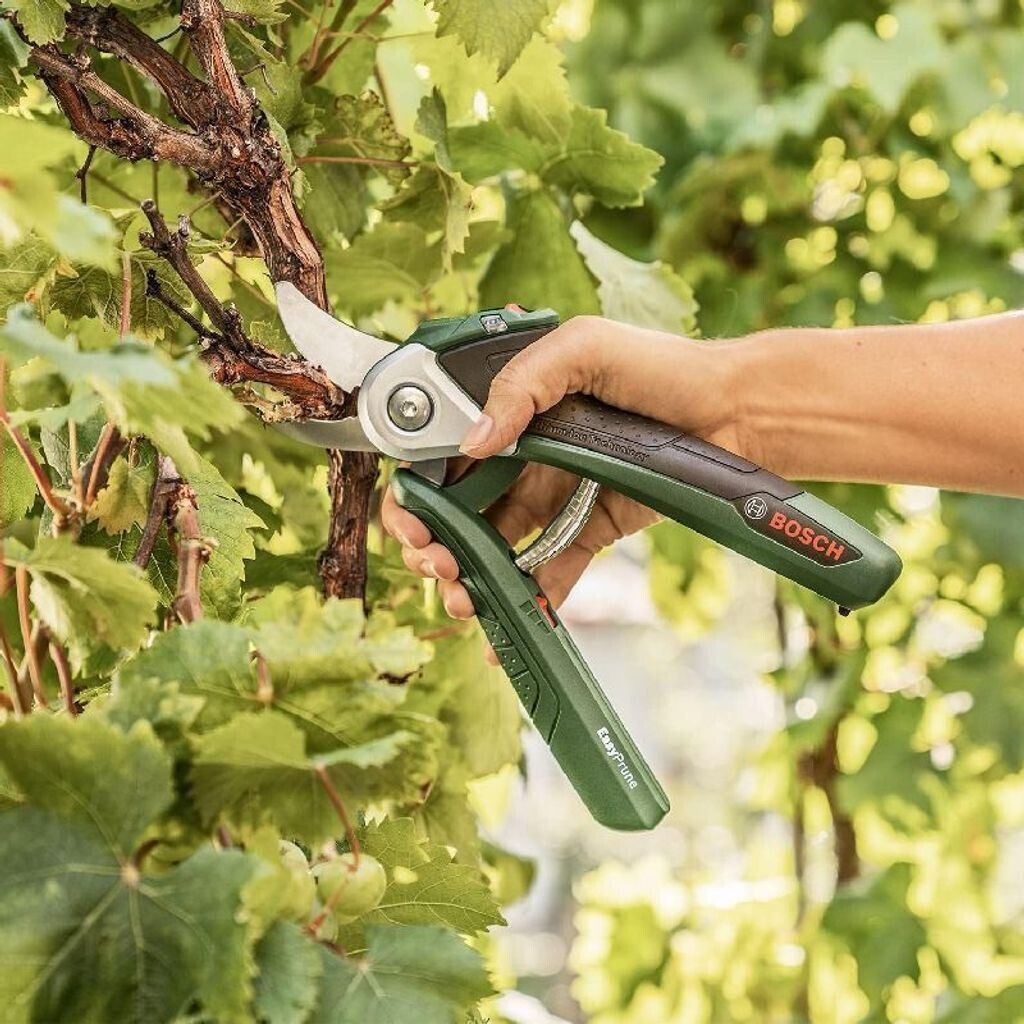 Buy Bosch EasyPrune Cordless Secateurs 06008B2102 from 75.95 Today Best Deals on idealo