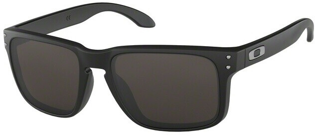Oakley Holbrook OO9102-W8 ab 131,20 € (Februar 2025 Preise) |  Preisvergleich bei idealo.de