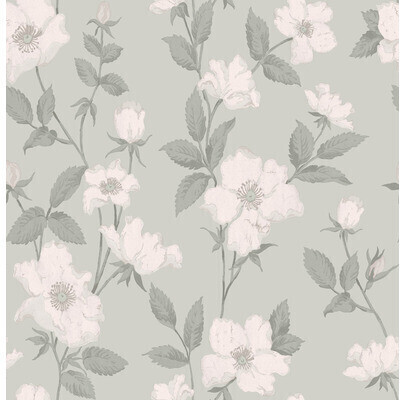 Laura Ashley 114917
