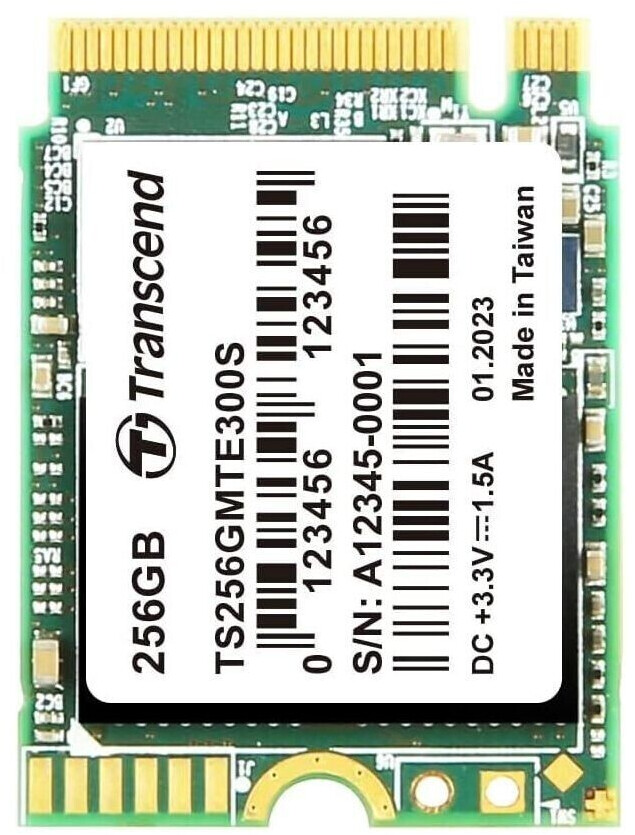 Transcend MTE300S 256 Go