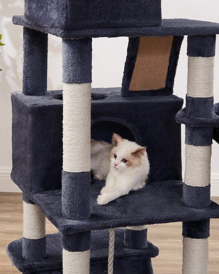 Feandrea Arbre à chat PCT165G01 Feandrea Arbre à chat PCT165G01
