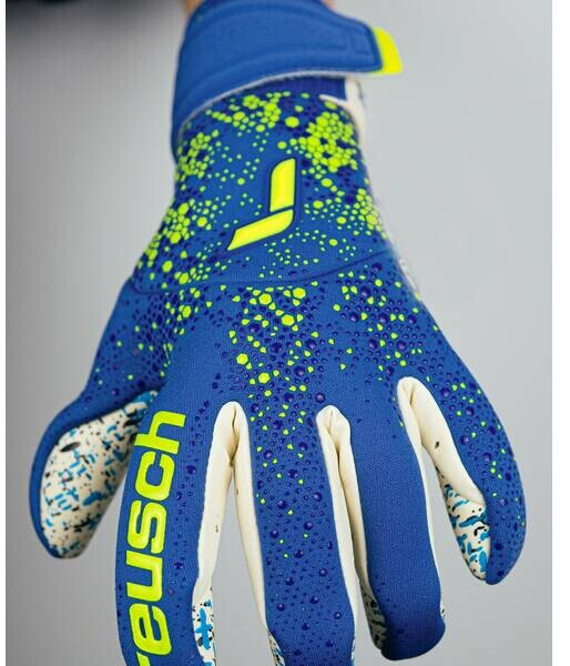 Reusch Pure Contact Fusion (F4018) blue