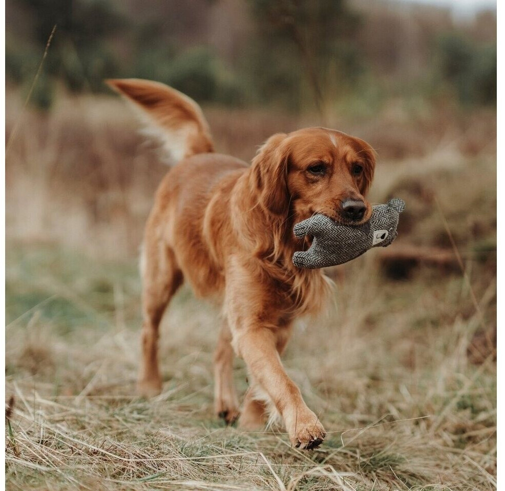 HUNTER Jouet d'occupation pour chien 69352 HUNTER Jouet d'occupation pour chien 69352