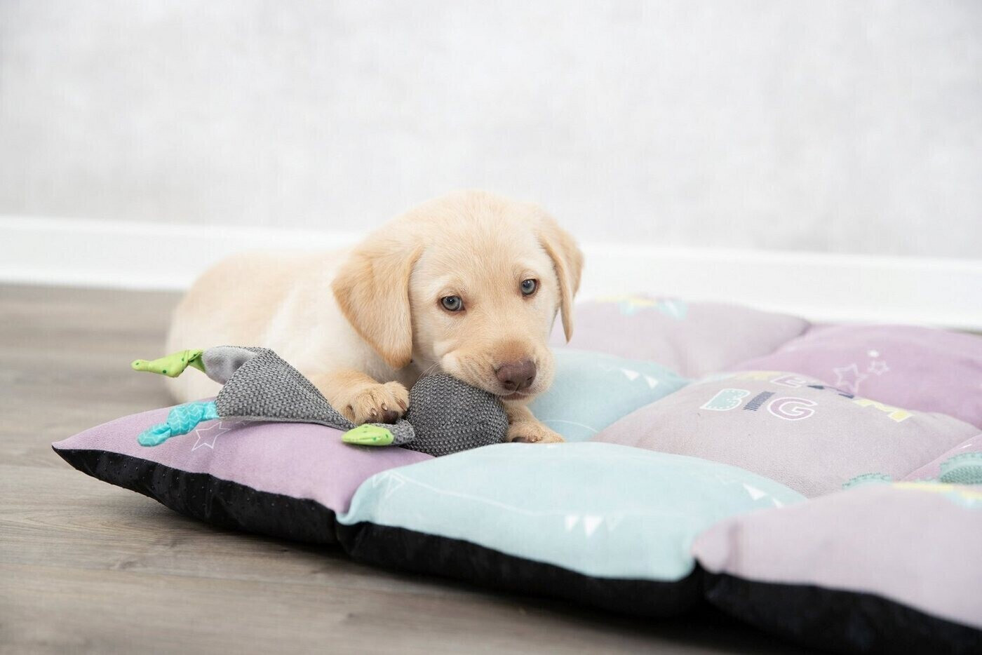 Trixie Jouet pour chiot Trixie Jouet pour chiot