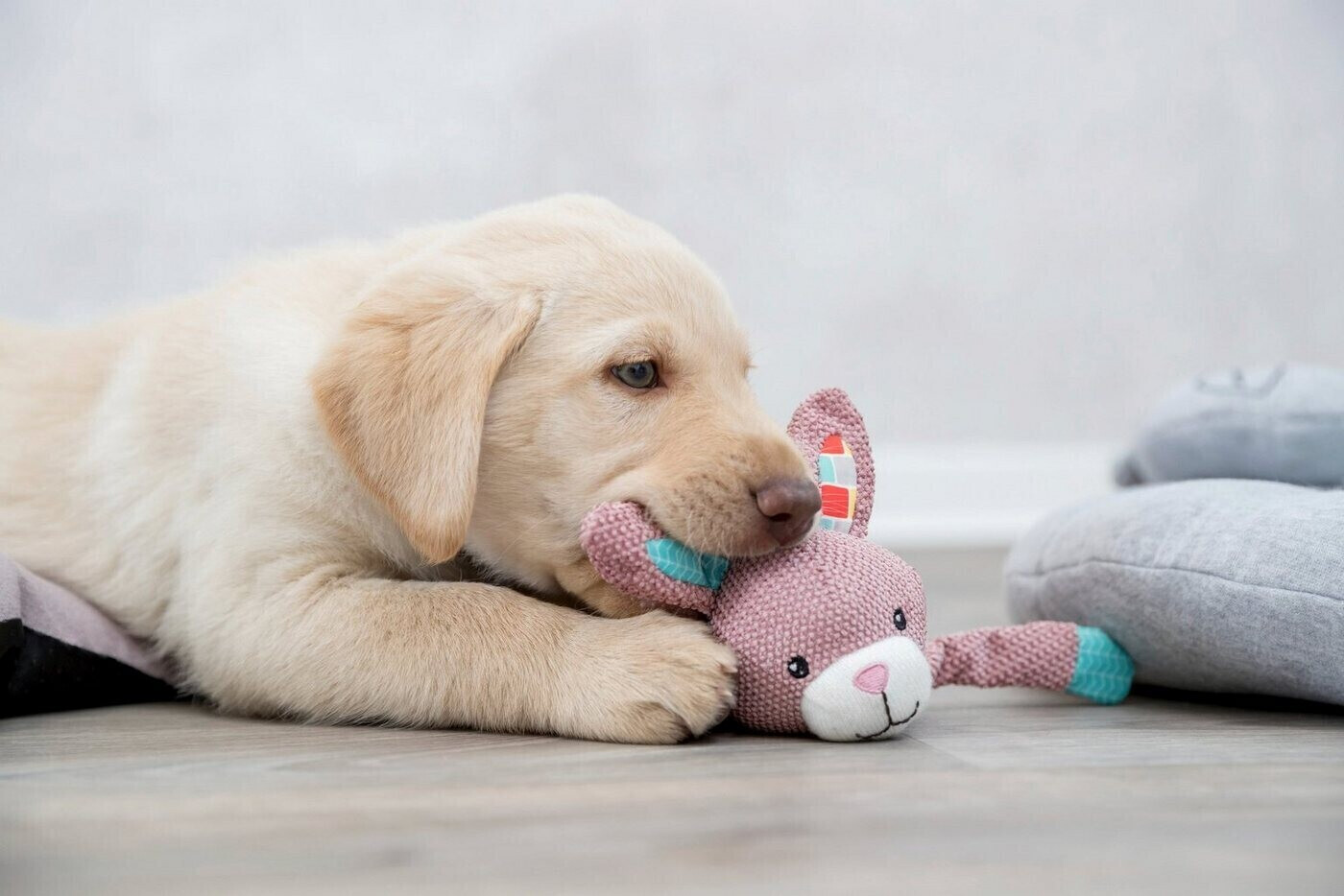 Trixie Peluche pour chien Trixie Peluche pour chien