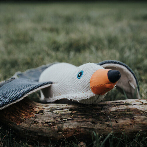 HUNTER Peluche pour chien HUNTER Peluche pour chien