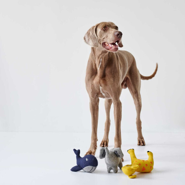 HUNTER Peluche pour chien 68643 HUNTER Peluche pour chien 68643