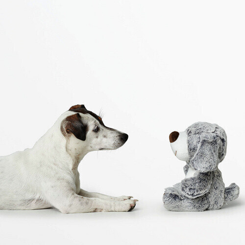 HUNTER Peluche pour chien 67451 HUNTER Peluche pour chien 67451