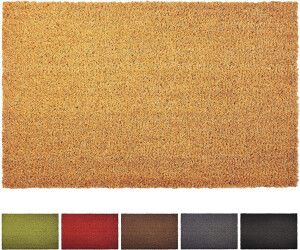 Floordirekt Fußmatte Kokos Natur 24 mm 80x50 cm ab 28,55 € | Preisvergleich  bei