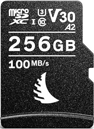 Angelbird AV Pro V30 microSDXC 256 Go
