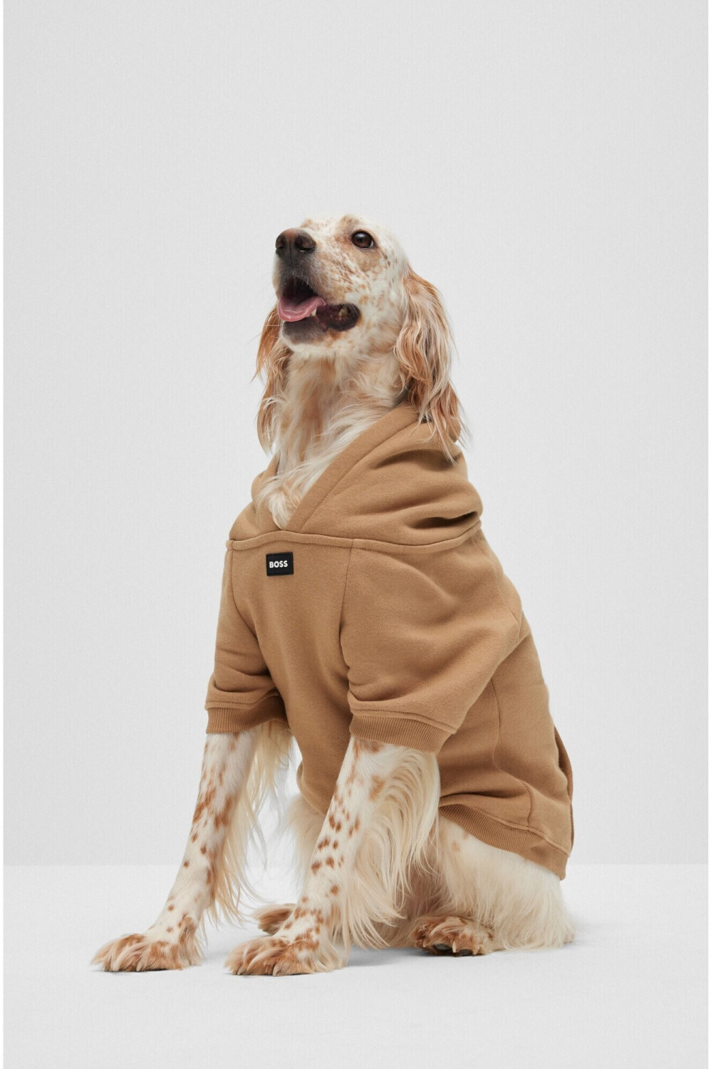Hugo Boss Pull pour chien Hugo Boss Pull pour chien