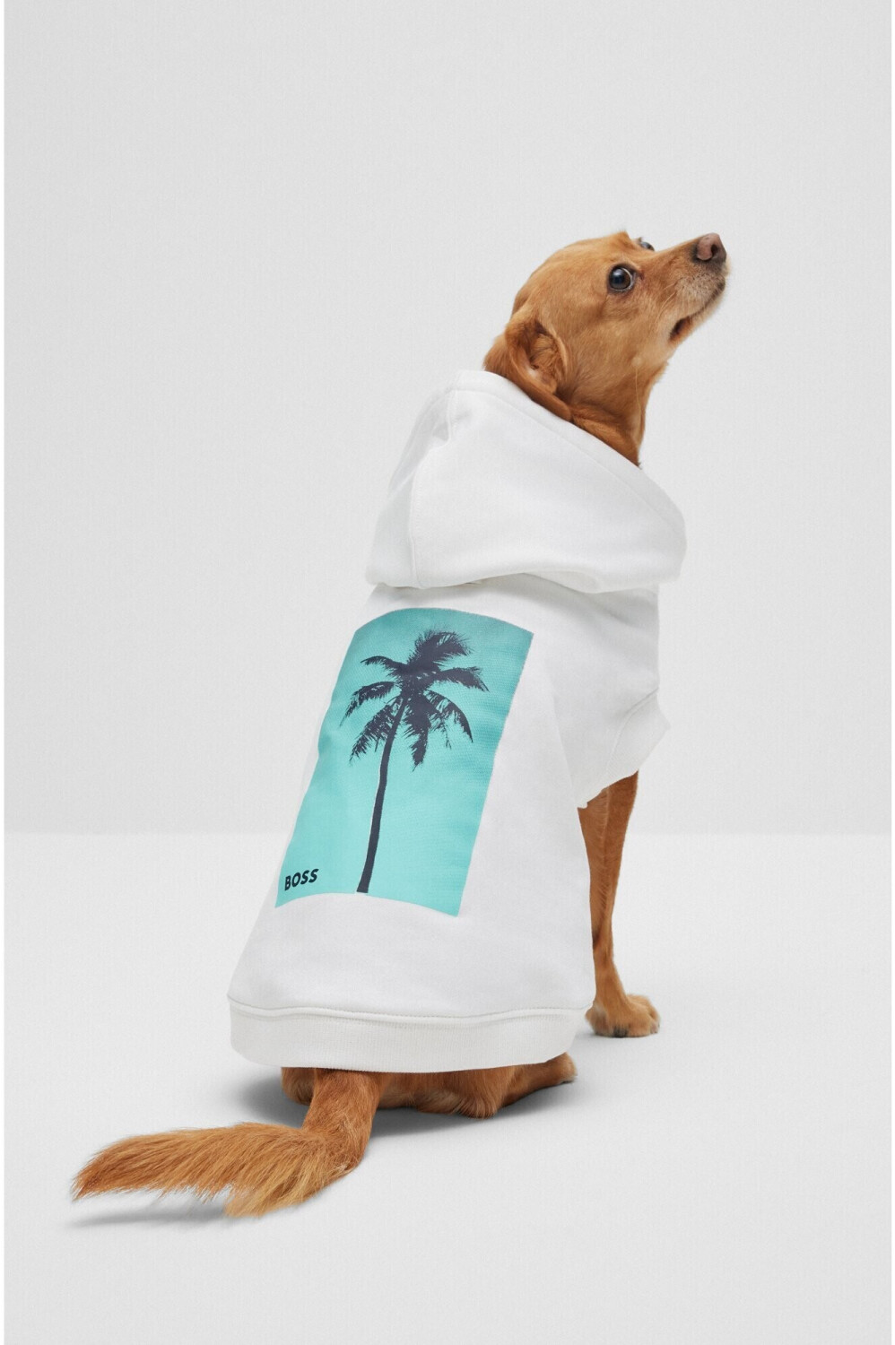 Hugo Boss Pull pour chien Hugo Boss Pull pour chien
