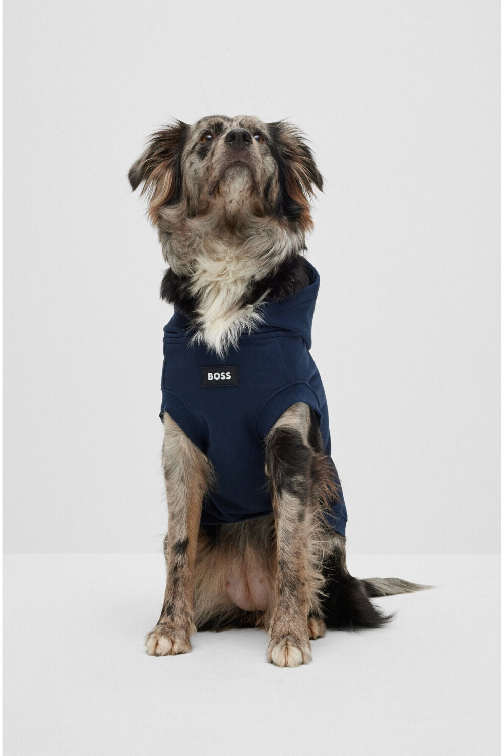 Hugo Boss Pull pour chien