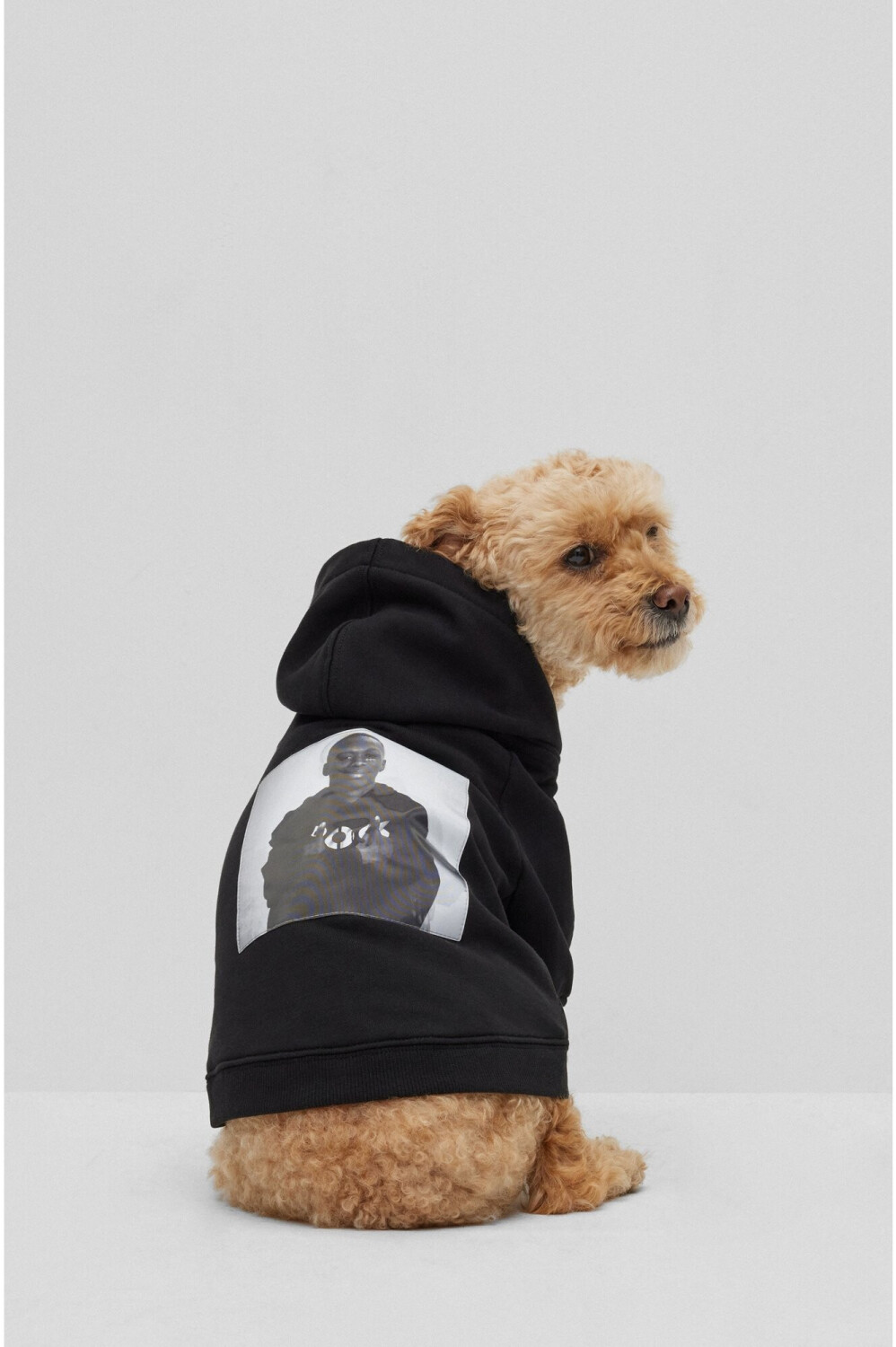 Hugo Boss Pull pour chien
