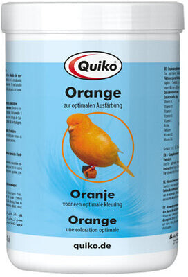 Quiko 150805