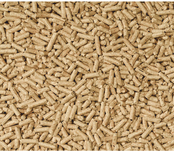Cat's Best Litière végétale pour chat 20l/10kg Cat's Best Litière végétale pour chat 20l/10kg
