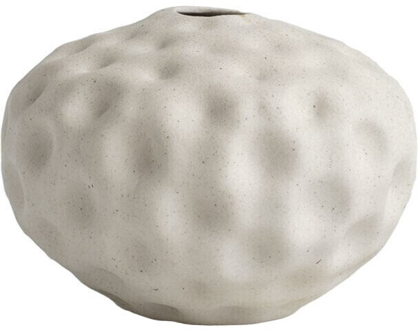 Cooee Seedpod 10cm Vanilla