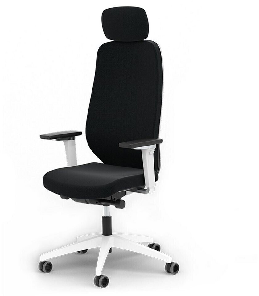 Ergotopia MasterBack Pro