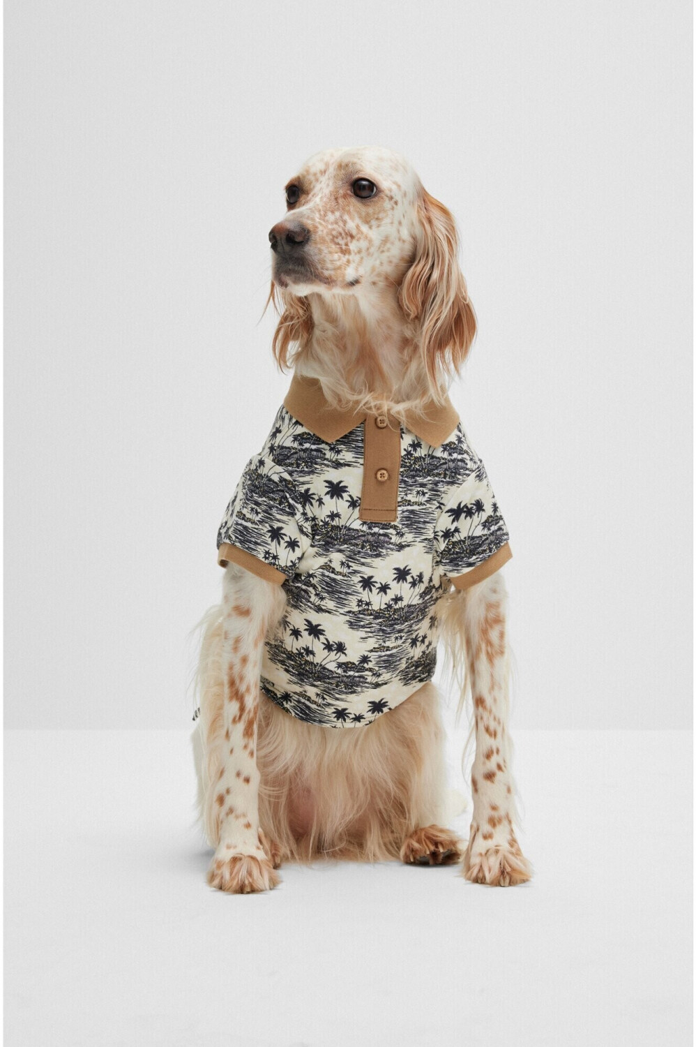 Hugo Boss T-shirt pour chien Hugo Boss T-shirt pour chien