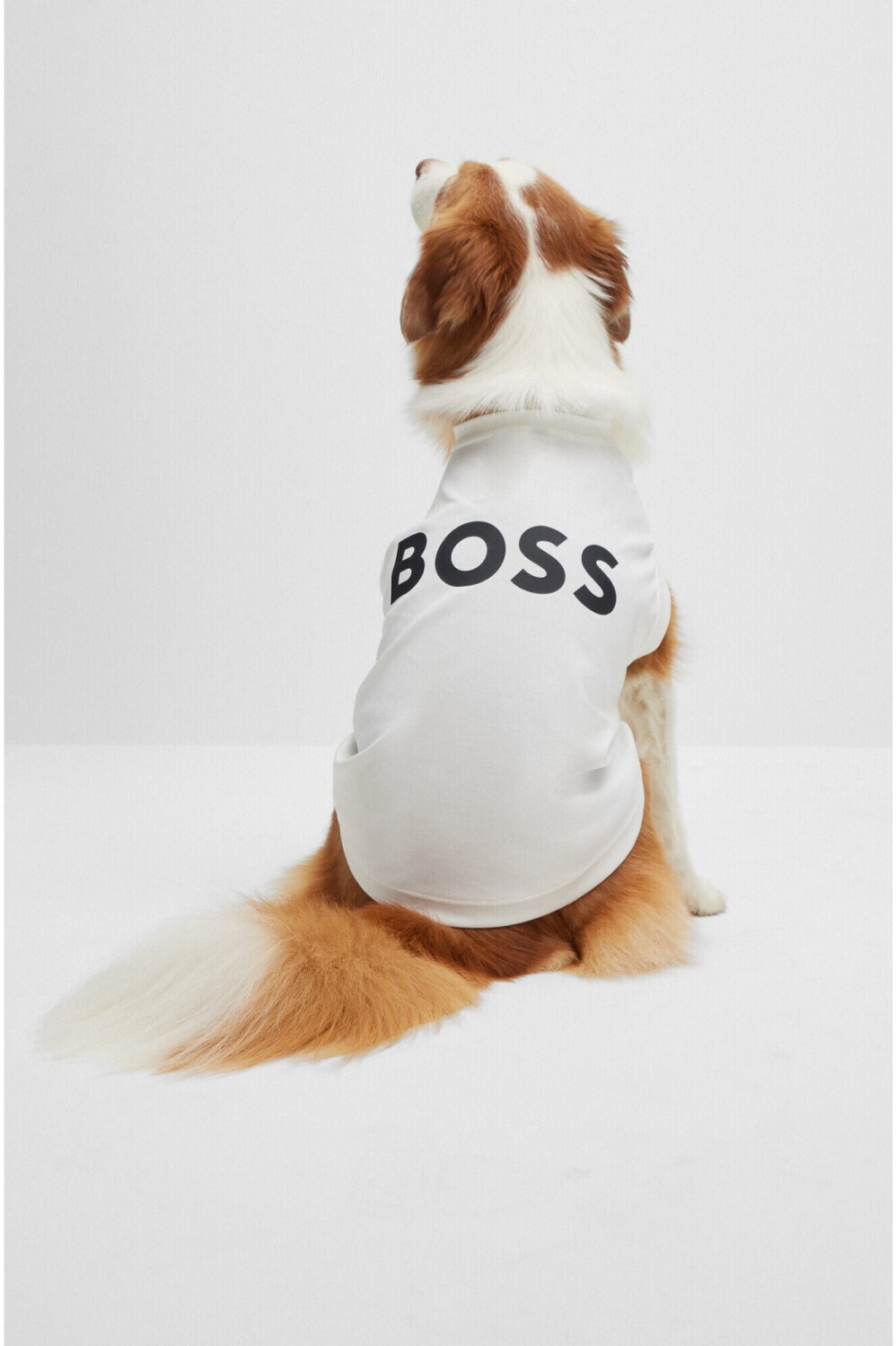 Hugo Boss T-shirt pour chien Hugo Boss T-shirt pour chien
