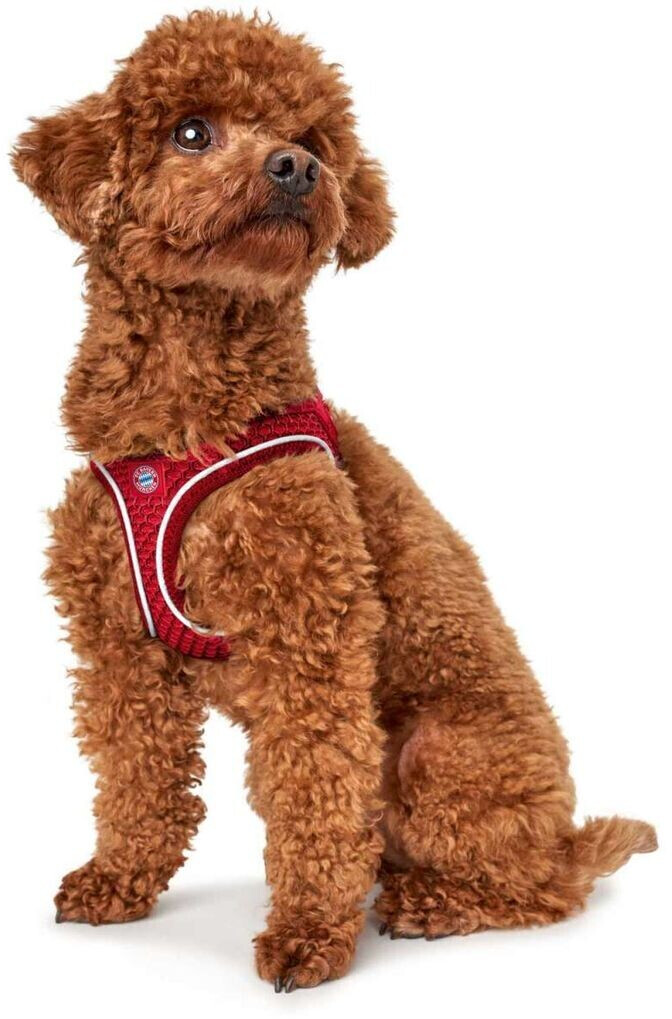 HUNTER Harnais pour chien FC Bayern München HUNTER Harnais pour chien FC Bayern München