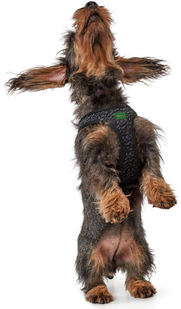 HUNTER Harnais pour chien Hilo Soft Comfort S HUNTER Harnais pour chien Hilo Soft Comfort S