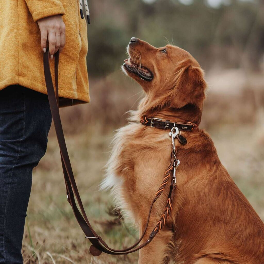 HUNTER Collier pour chien Solid Education Cord XL HUNTER Collier pour chien Solid Education Cord XL