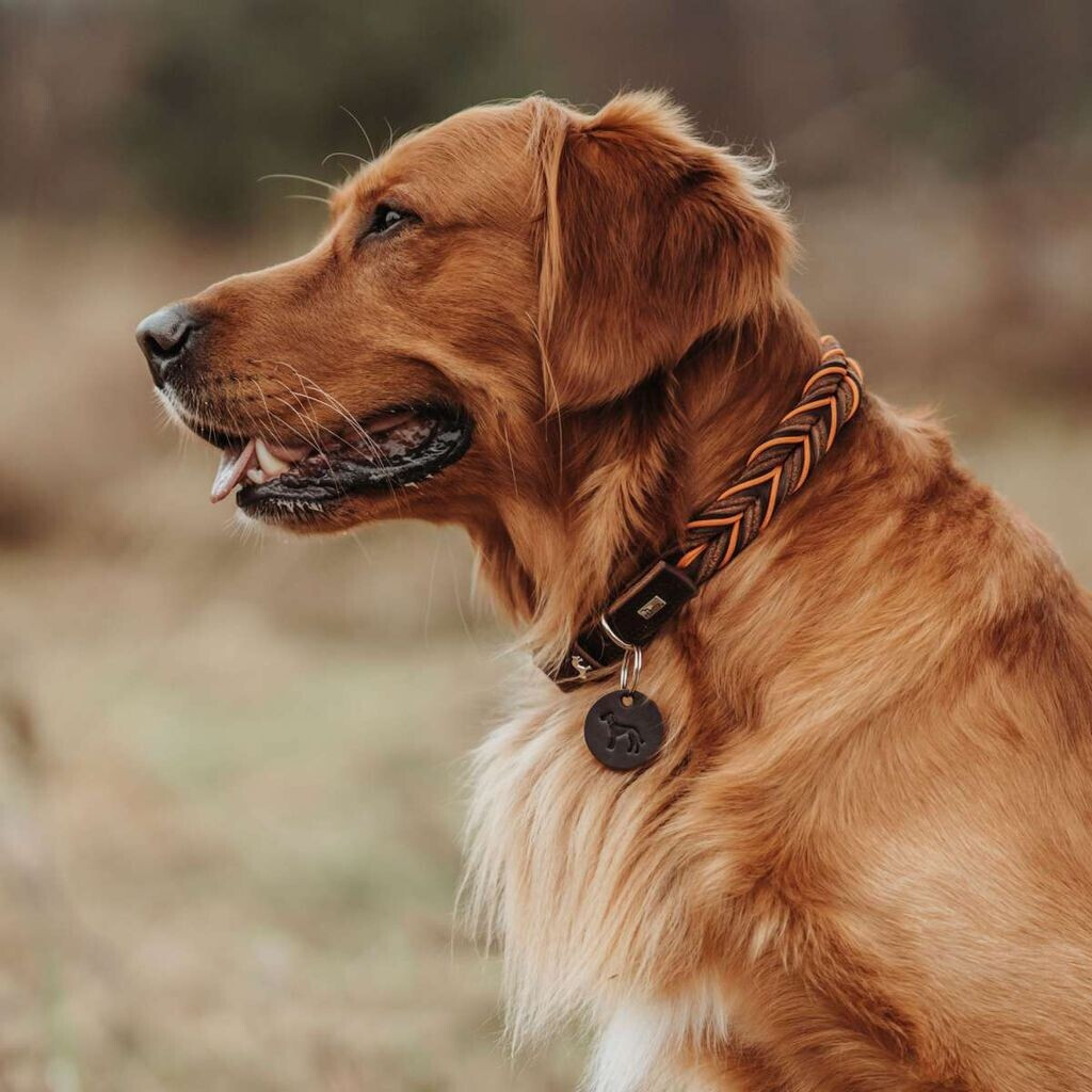 HUNTER Collier pour chien Solid Education Cord XL HUNTER Collier pour chien Solid Education Cord XL