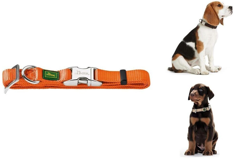 HUNTER Collier pour chien Vario Basic Alu Strong HUNTER Collier pour chien Vario Basic Alu Strong