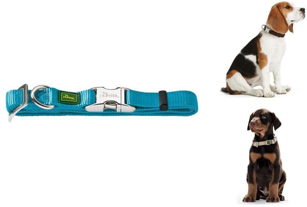 HUNTER Collier pour chien Vario Basic Alu Strong HUNTER Collier pour chien Vario Basic Alu Strong