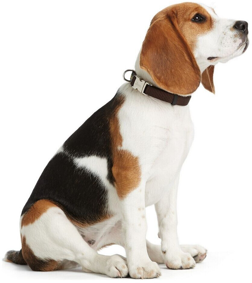 HUNTER Collier pour chien Vario Basic Alu Strong HUNTER Collier pour chien Vario Basic Alu Strong