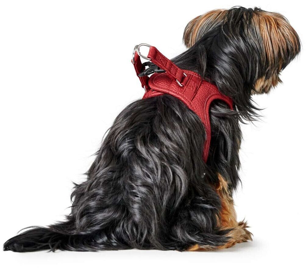 HUNTER Harnais pour chien S HUNTER Harnais pour chien S