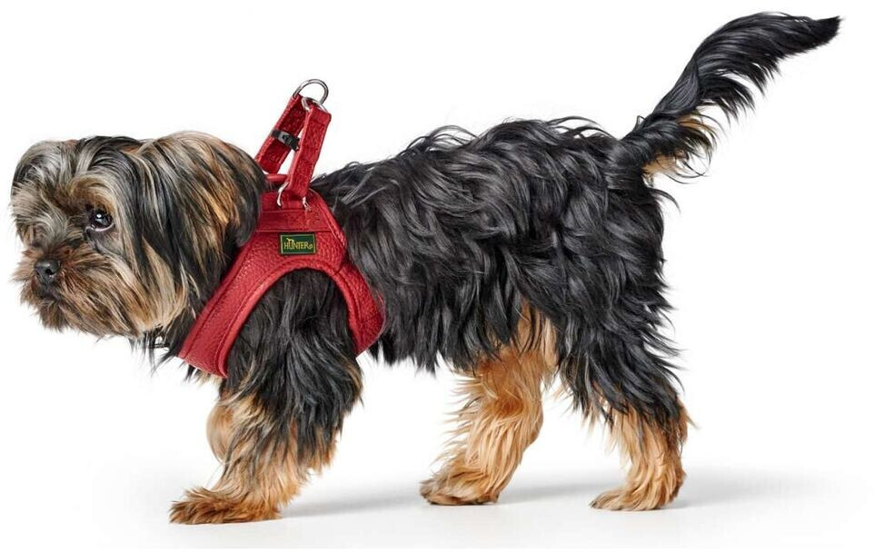 HUNTER Harnais pour chien XS-S HUNTER Harnais pour chien XS-S