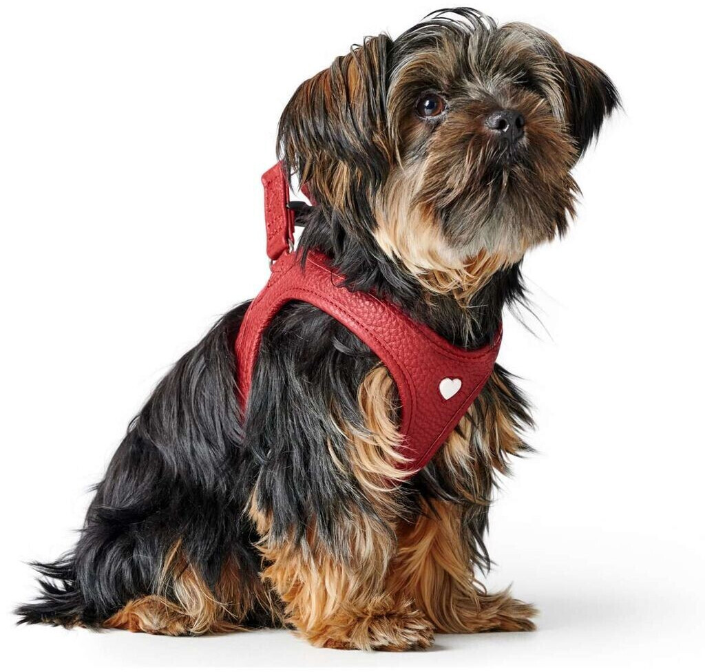 HUNTER Harnais pour chien XXS-XS HUNTER Harnais pour chien XXS-XS