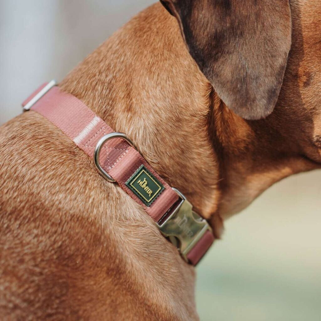HUNTER Collier pour chien L red HUNTER Collier pour chien L red