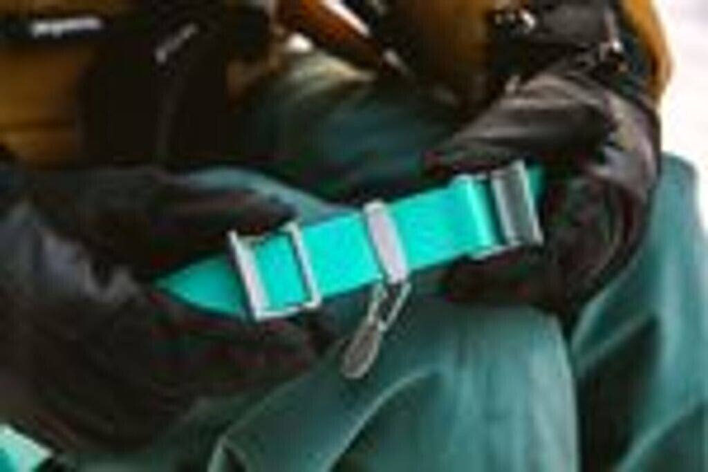 Ruffwear Collier pour chien 2585-4212026 Ruffwear Collier pour chien 2585-4212026