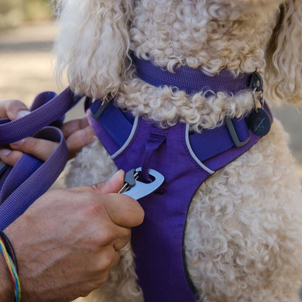 Ruffwear Collier pour chien 2545-5032026 Ruffwear Collier pour chien 2545-5032026