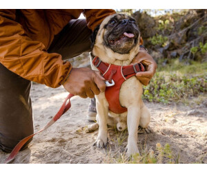 Ruffwear front range best sale xxs