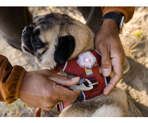 Buy Ruffwear Front Range Harness XXS 30502 609S2 from 35.49