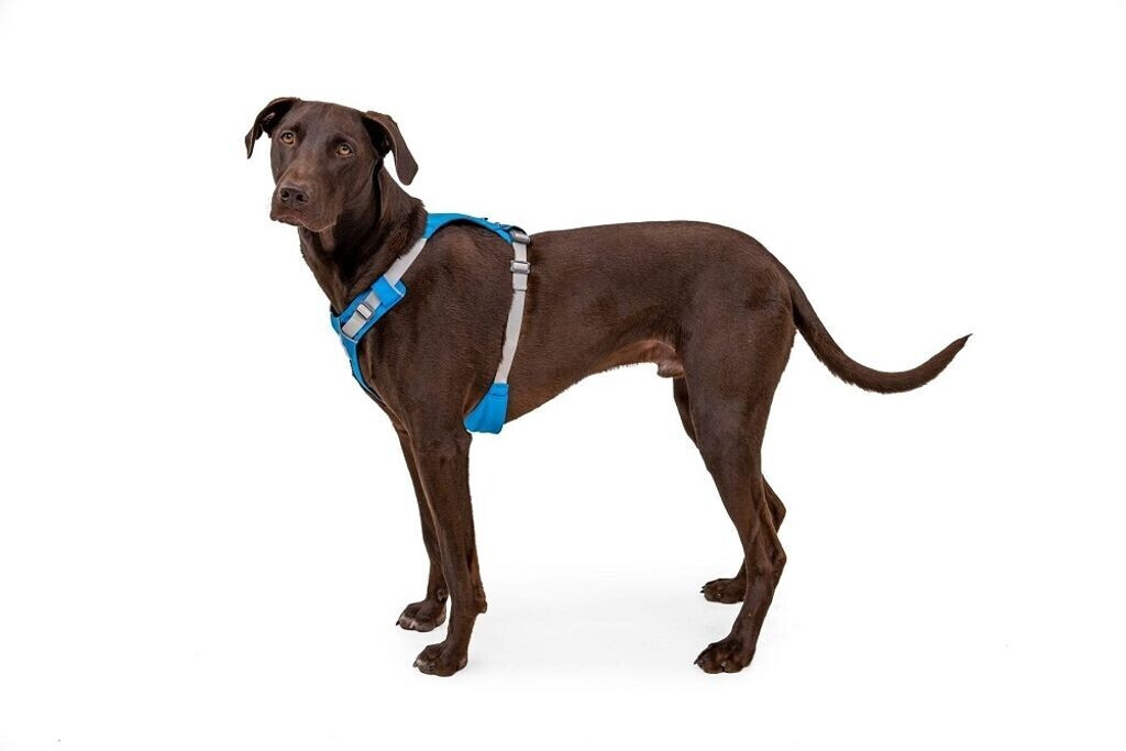 Ruffwear Harnais pour chien XXXS Ruffwear Harnais pour chien XXXS