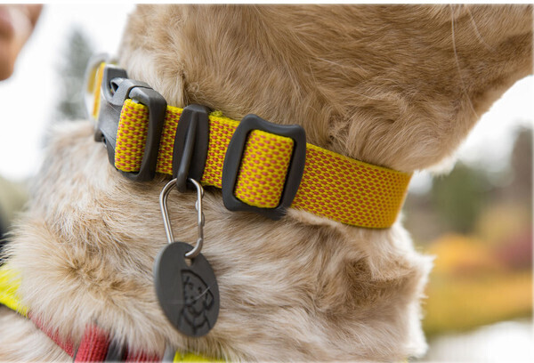 Ruffwear Collier pour chien L Ruffwear Collier pour chien L