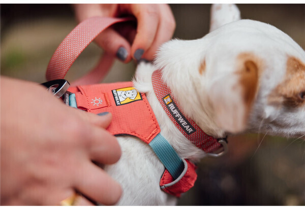 Ruffwear Collier pour chien M Ruffwear Collier pour chien M