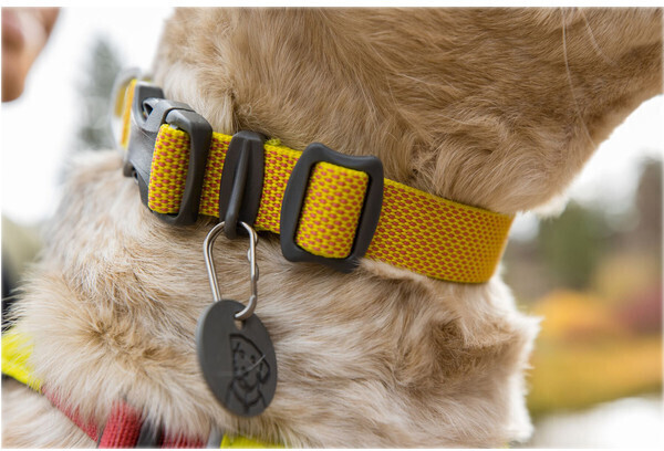 Ruffwear Collier pour chien S Ruffwear Collier pour chien S