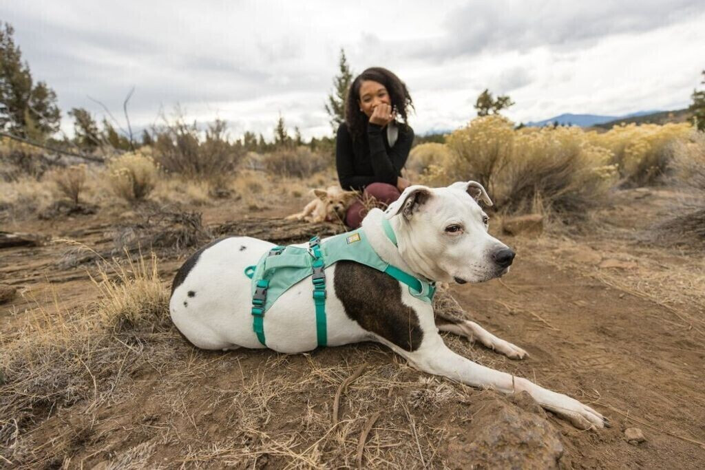 Ruffwear Harnais pour chien M Ruffwear Harnais pour chien M