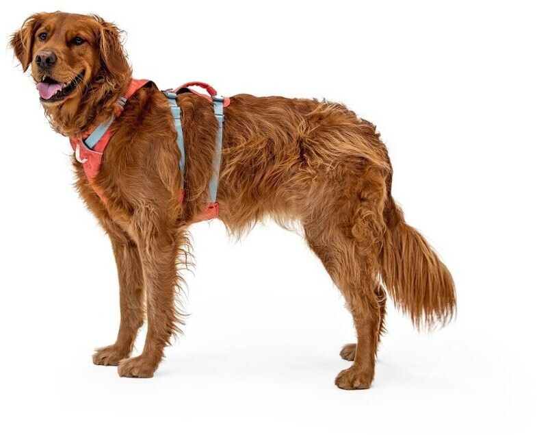 Ruffwear Harnais pour chien XS Ruffwear Harnais pour chien XS