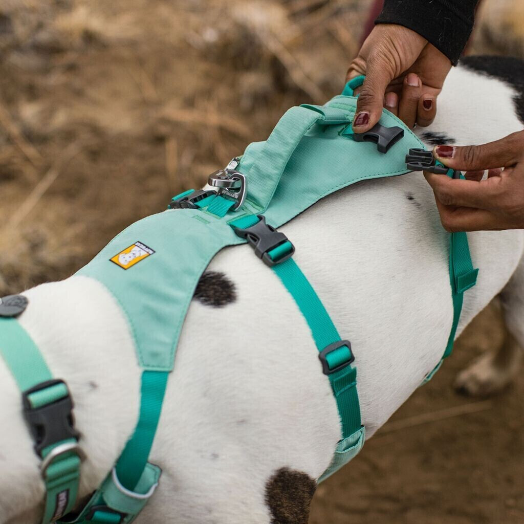 Ruffwear Harnais pour chien XXS Ruffwear Harnais pour chien XXS