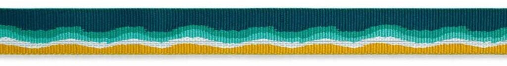 Ruffwear Collier pour chien 2565-9372326 Ruffwear Collier pour chien 2565-9372326