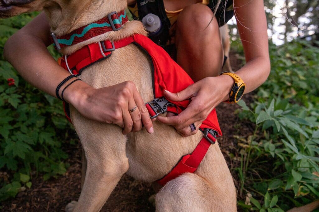 Ruffwear Harnais pour chien M Ruffwear Harnais pour chien M