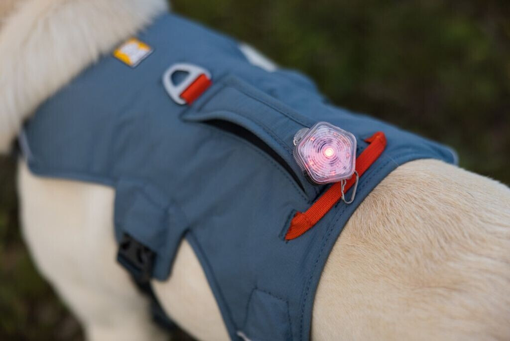 Ruffwear Harnais pour chien Web Master M Ruffwear Harnais pour chien Web Master M