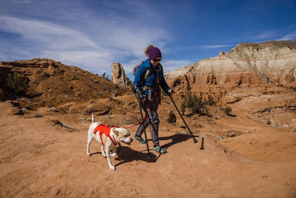 Ruffwear Harnais pour chien Web Master S Ruffwear Harnais pour chien Web Master S
